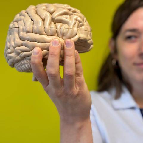 Neurologische revalidatie